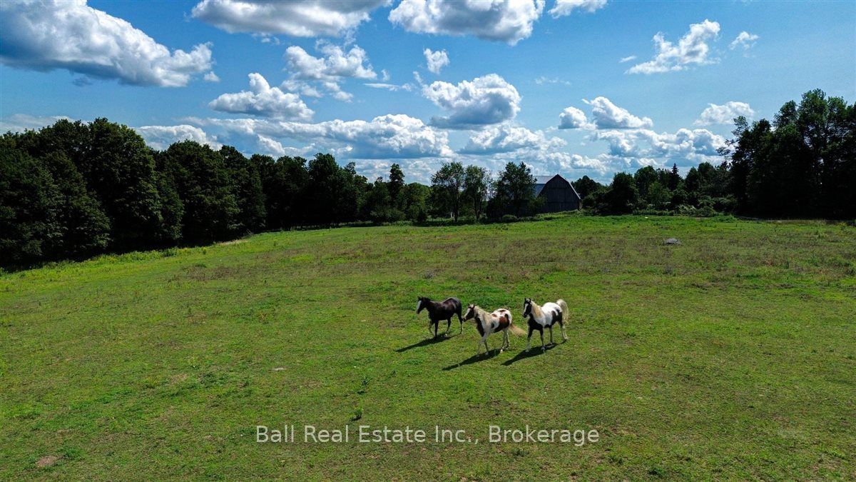 1607 The Ridge Road Property Photo 31