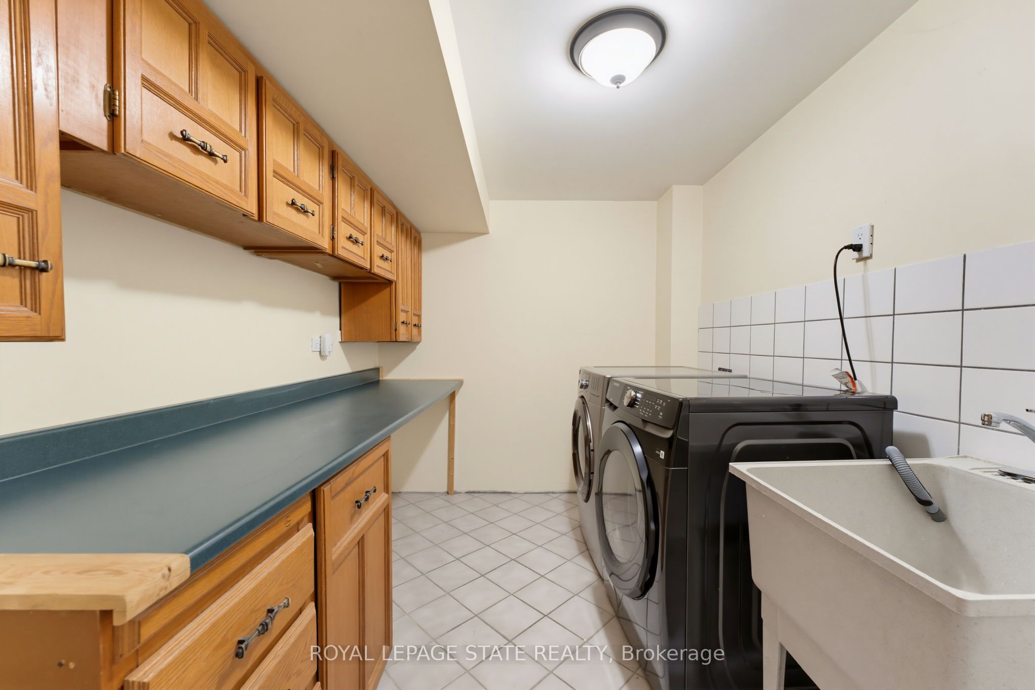 32 Silvervine Drive Property Photo 20