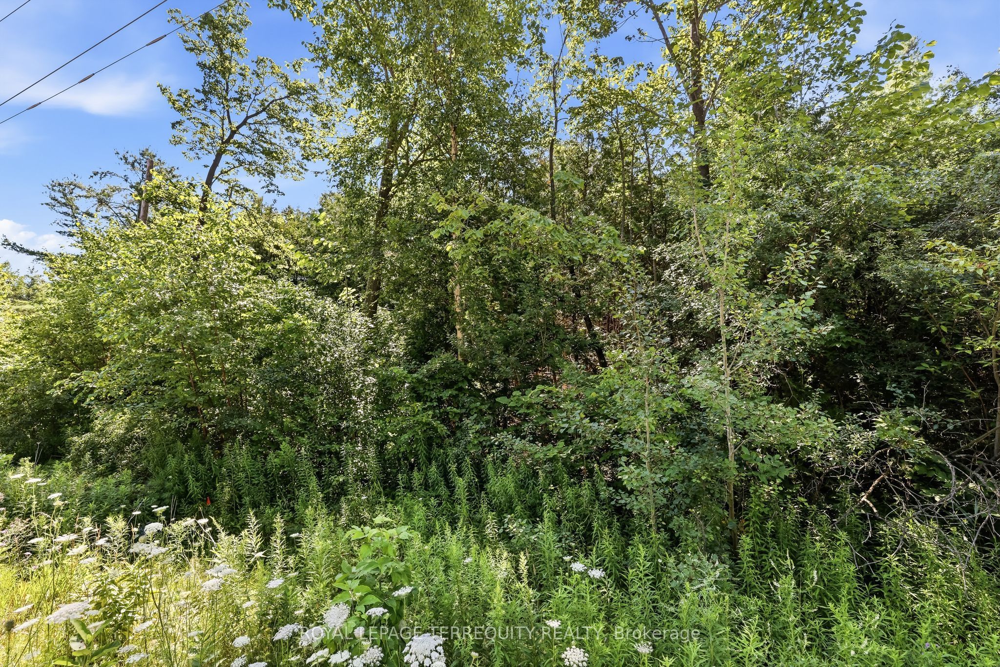 0 Purdy Road Property Photo 14