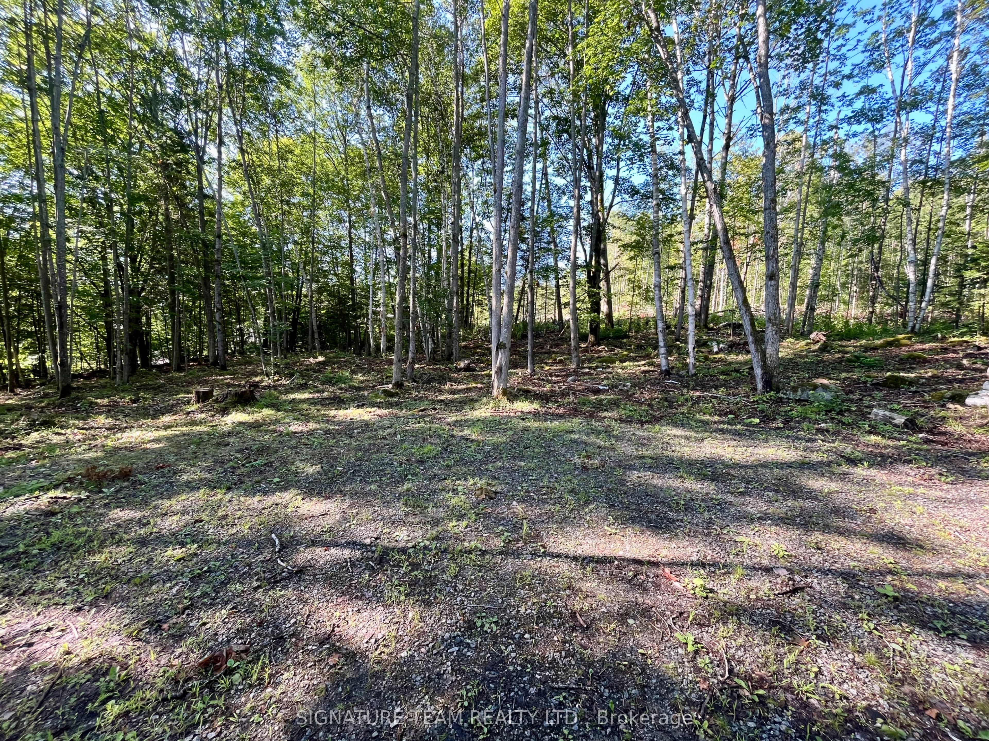 644 Mitchell Road Property Photo 8