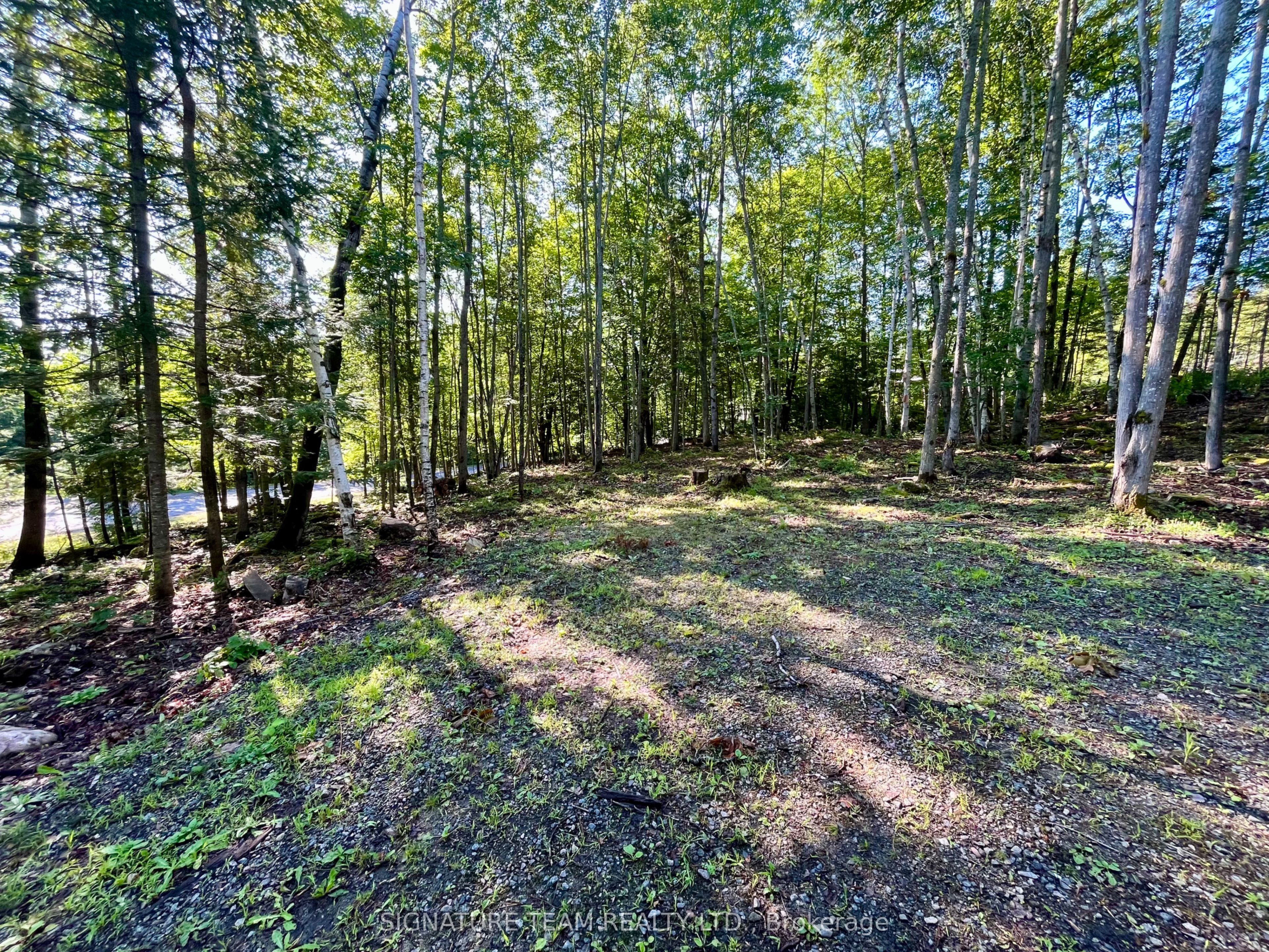 644 Mitchell Road Property Photo 9