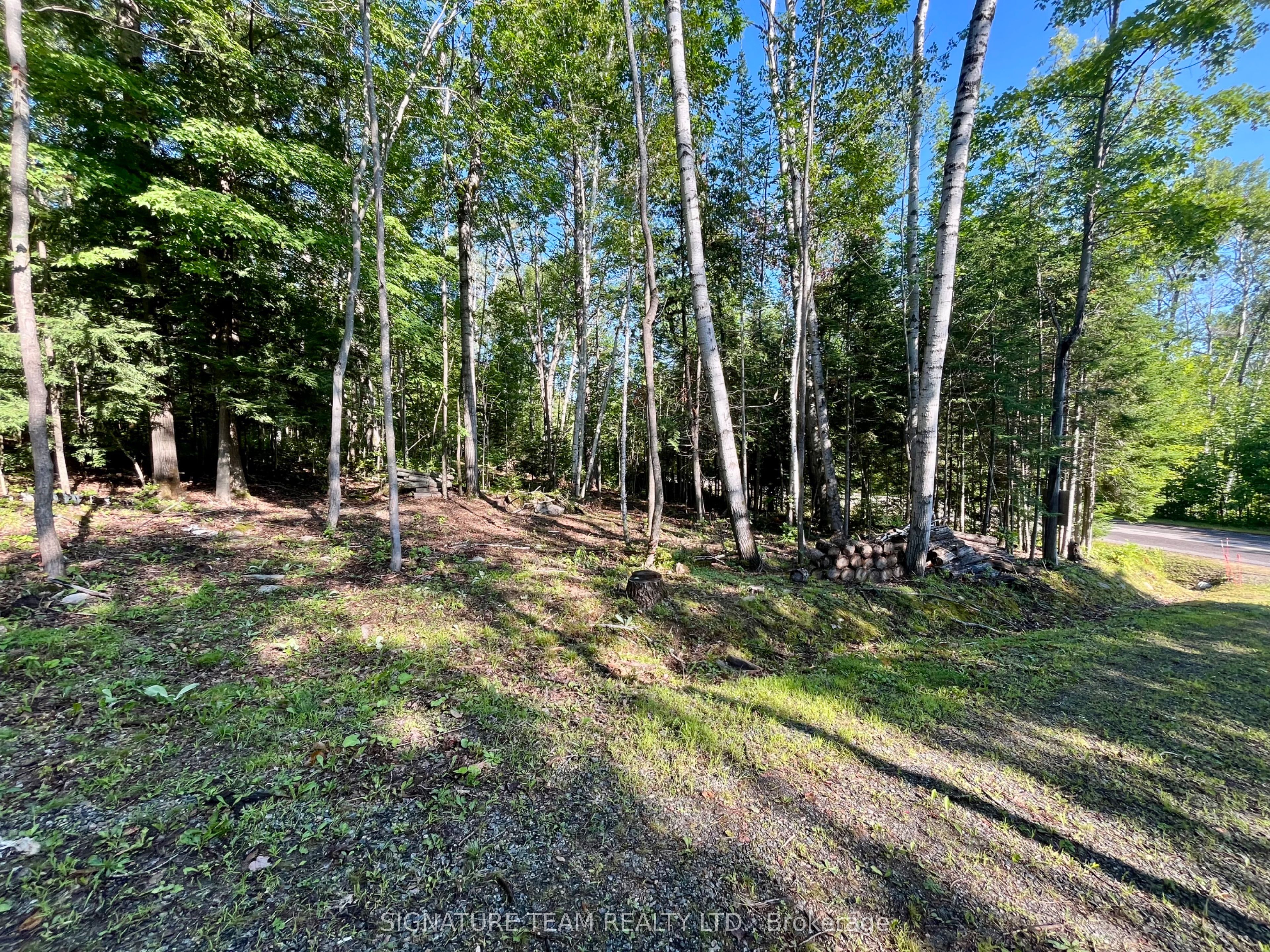 644 Mitchell Road Property Photo 11