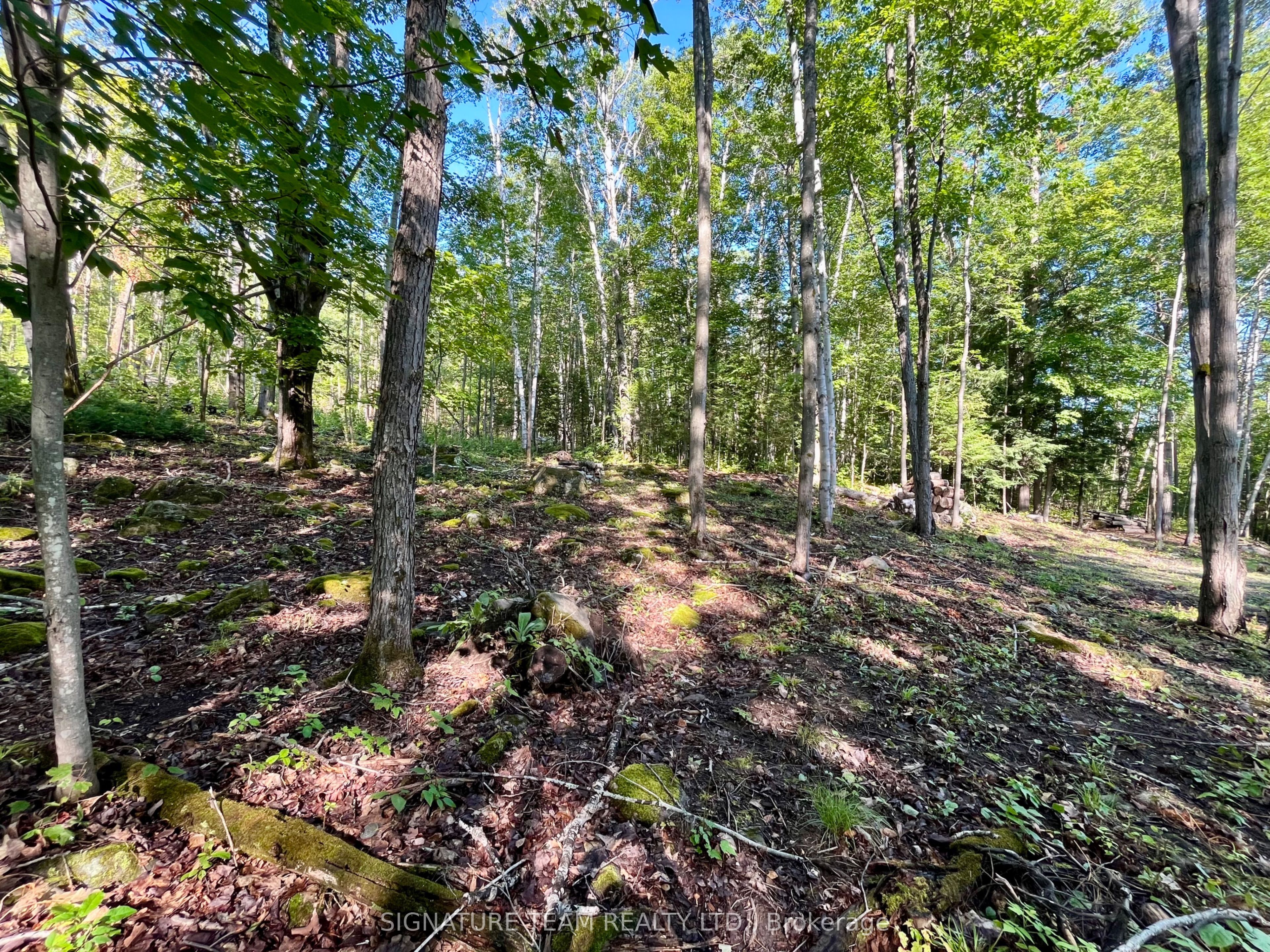 644 Mitchell Road Property Photo 13