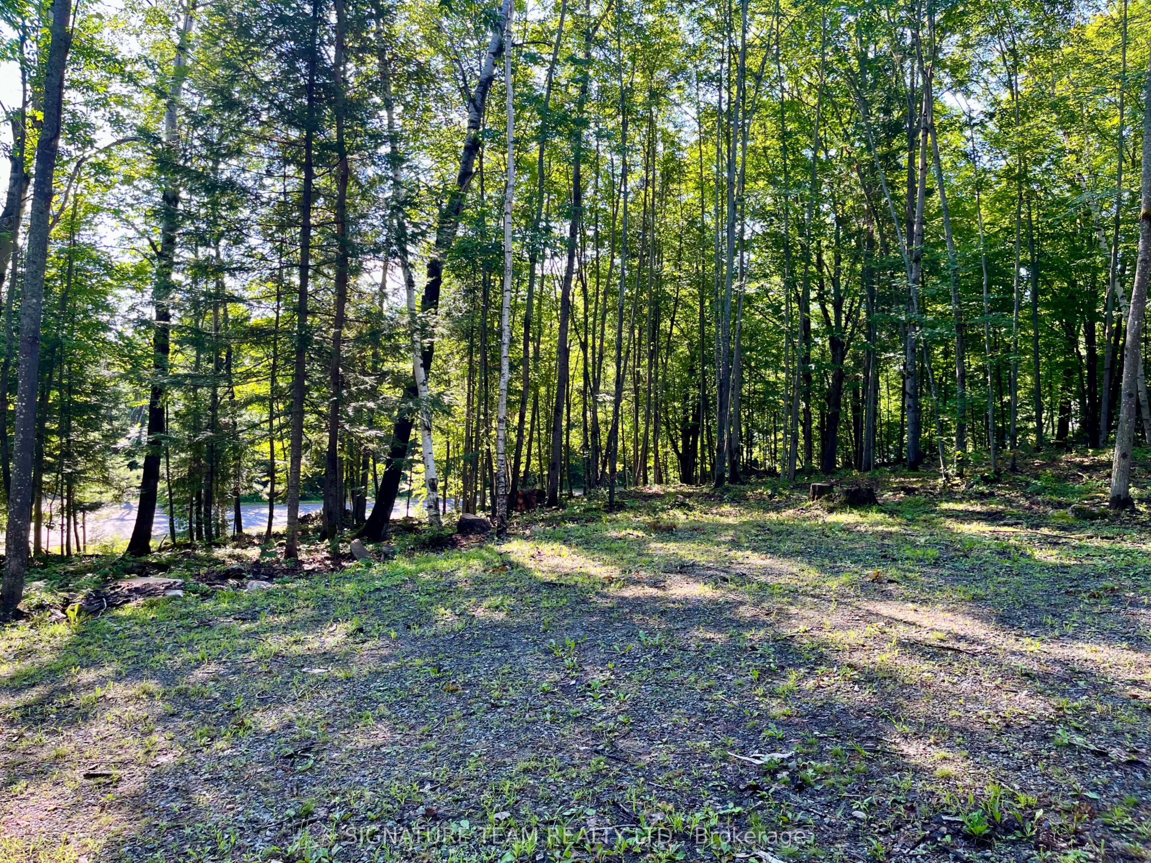 644 Mitchell Road Property Photo 17