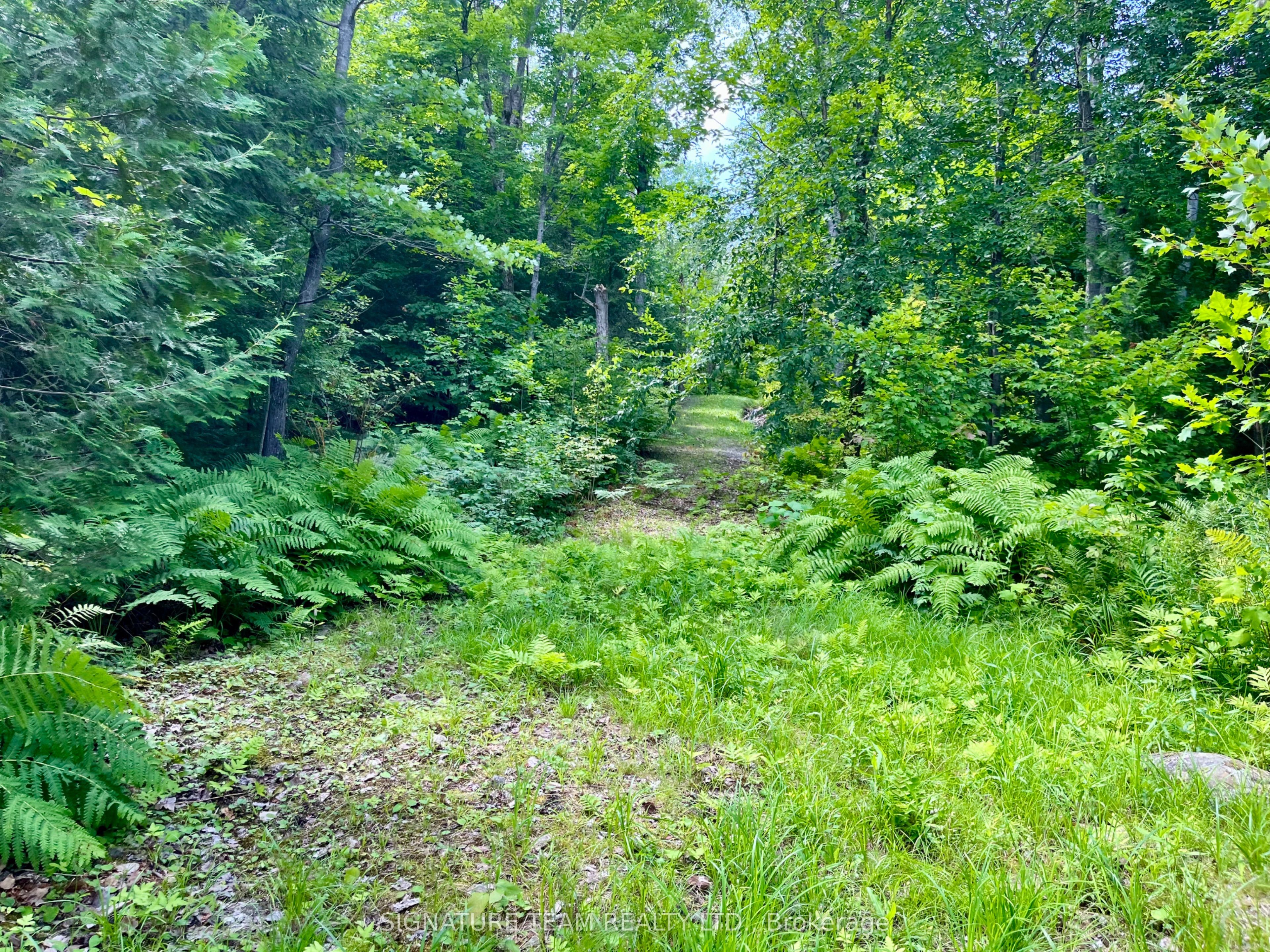 644 Mitchell Road Property Photo 24