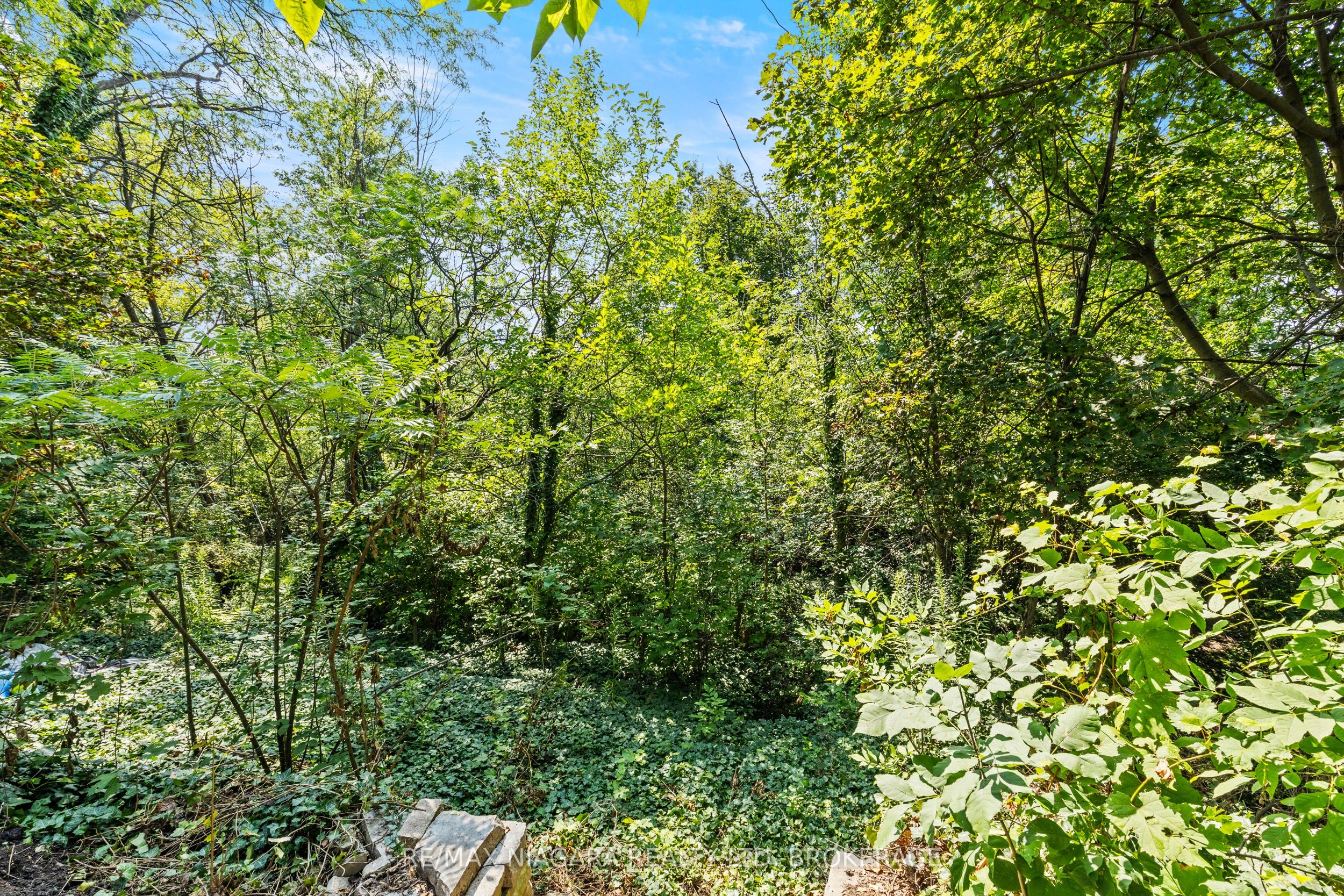 8 Cullen Drive Property Photo 32
