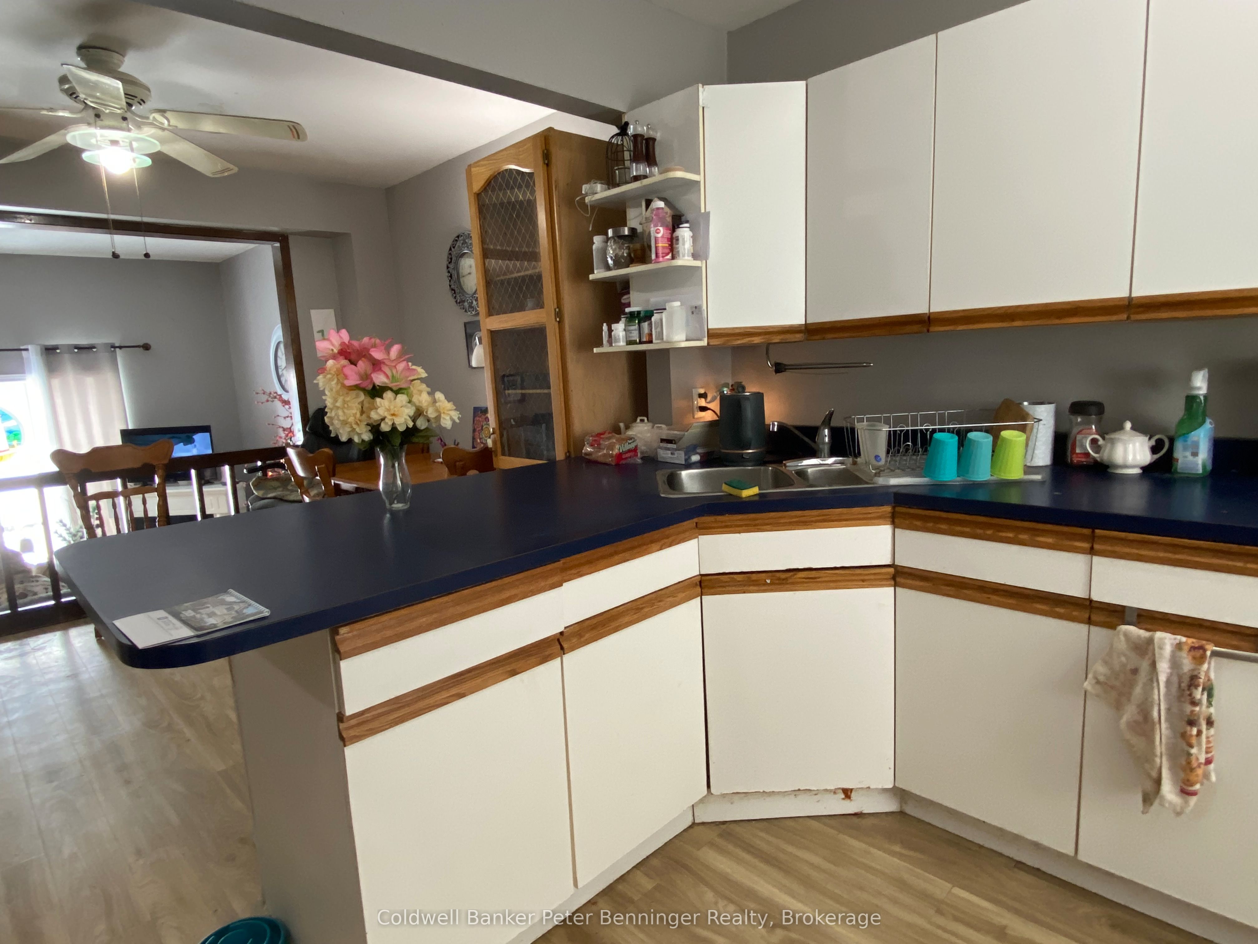 6 Philip Place 6 Property Photo 4