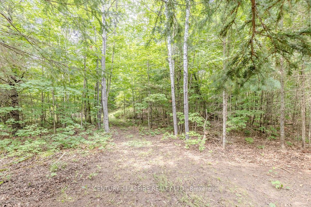00 O'brien Road Property Photo 7