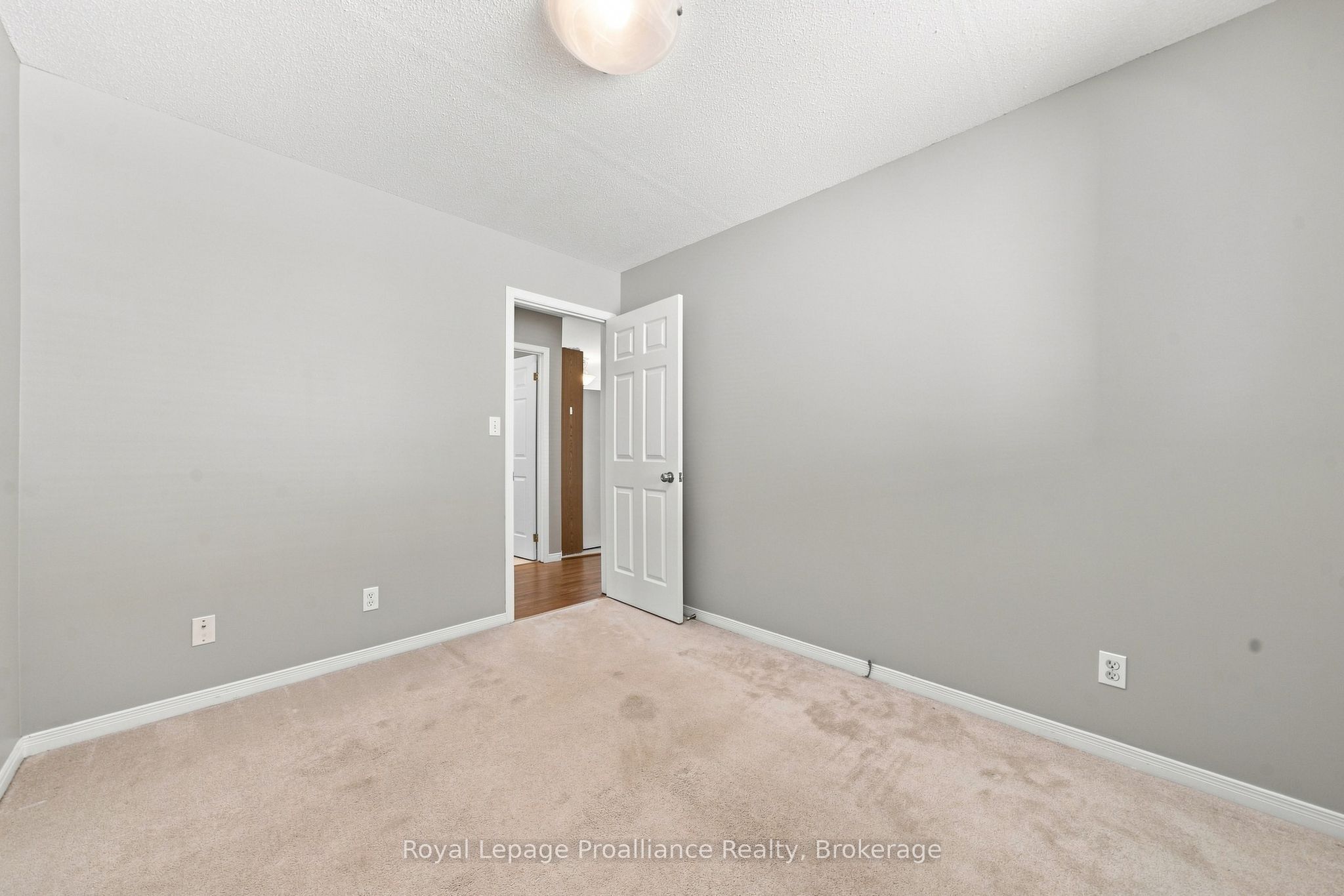 72 Liddle Lane Property Photo 12