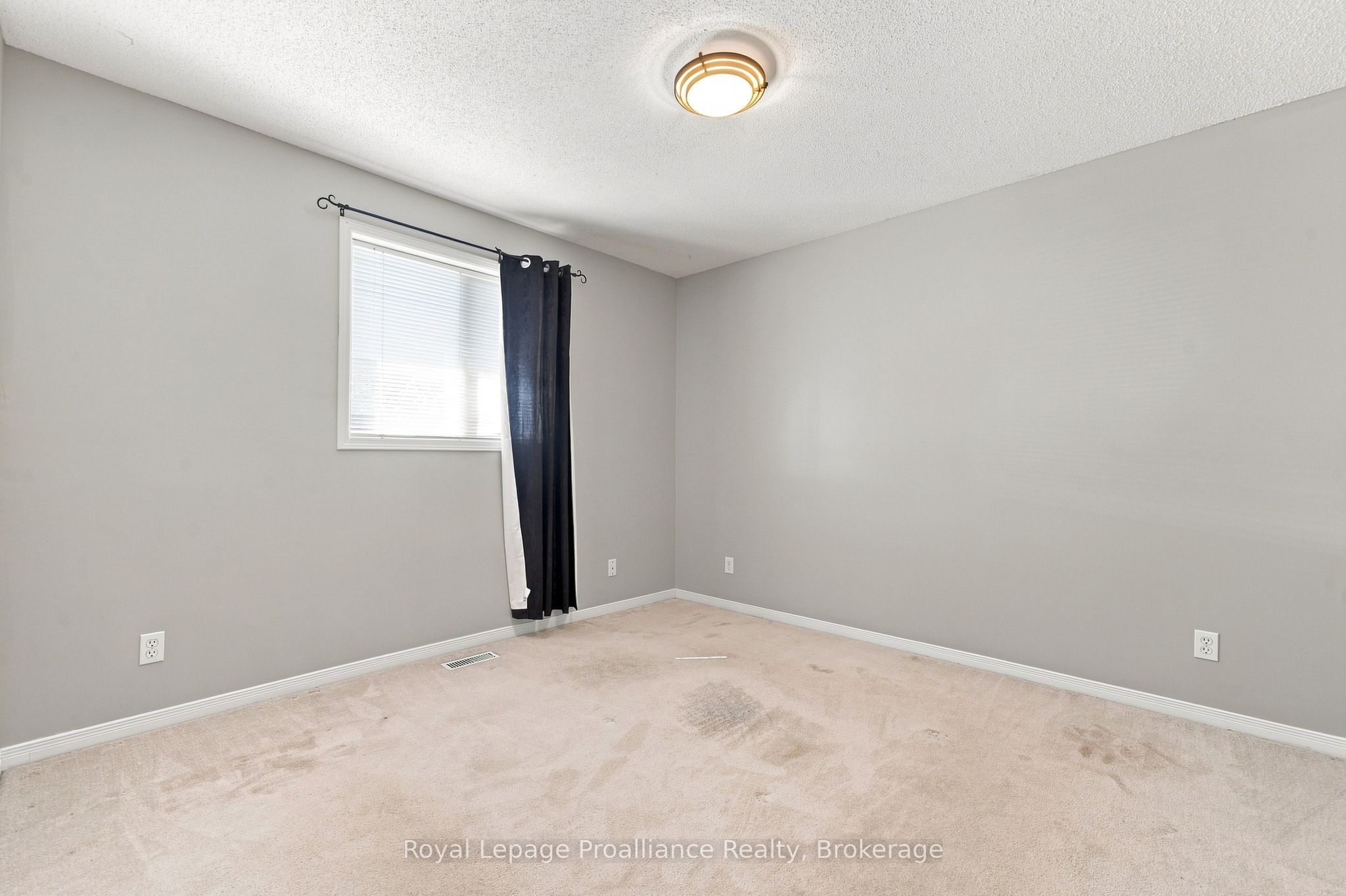 72 Liddle Lane Property Photo 22