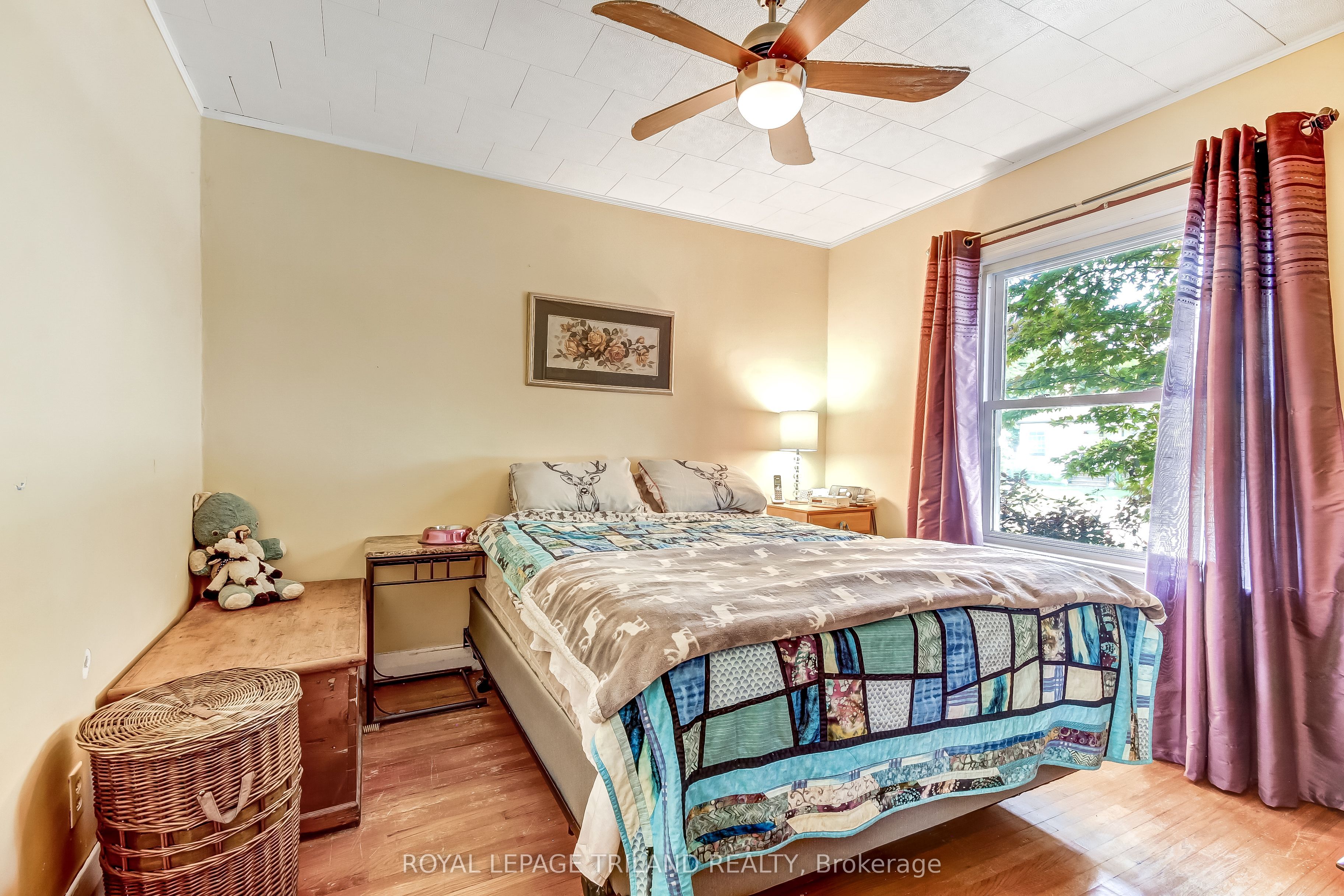 84 Redan Street Property Photo 6