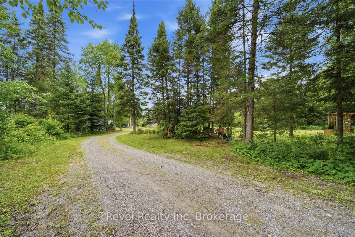 1100 Morning Glory Drive Property Photo 3