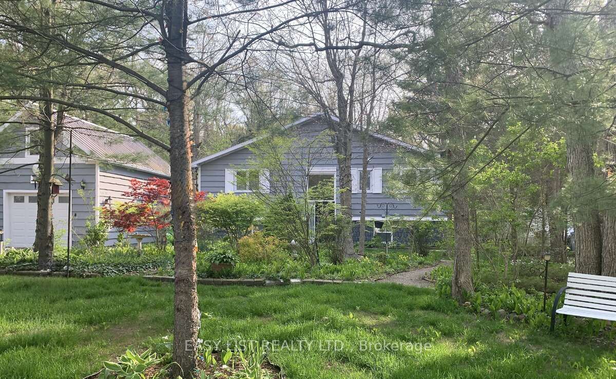 10161 Andrea Street Property Photo 1