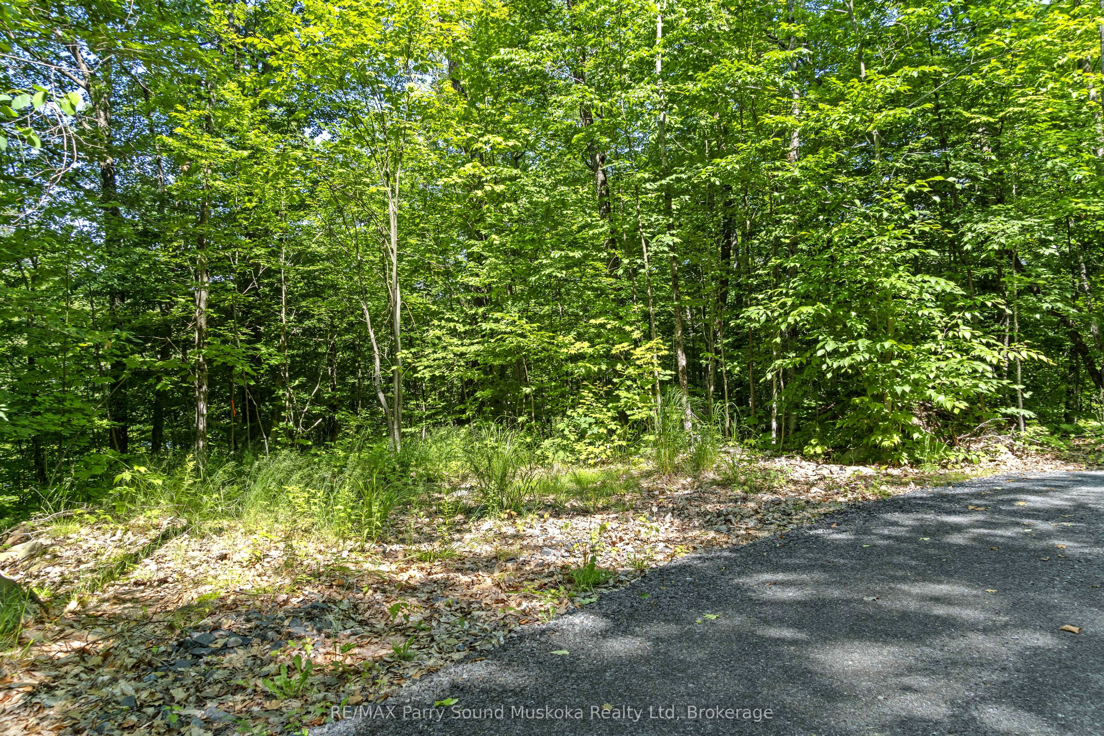 38 Fun Cottage Lane Property Photo 9
