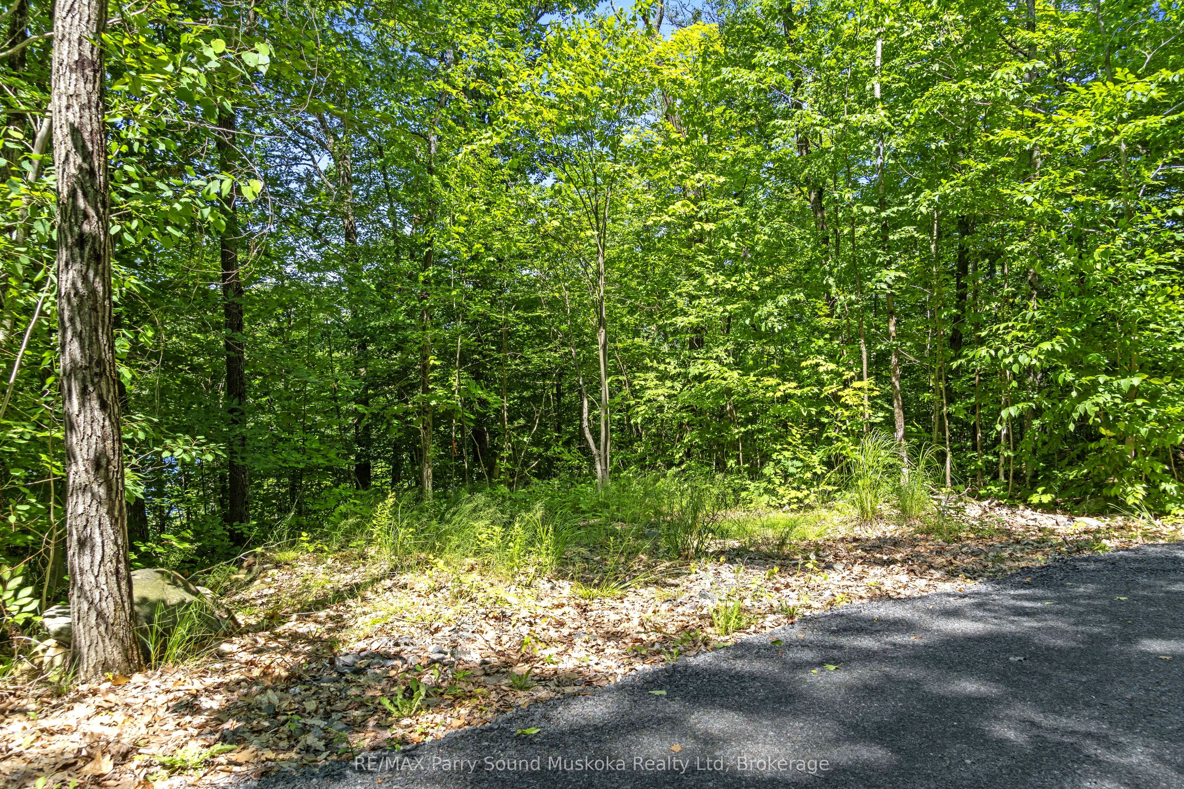 38 Fun Cottage Lane Property Photo 13