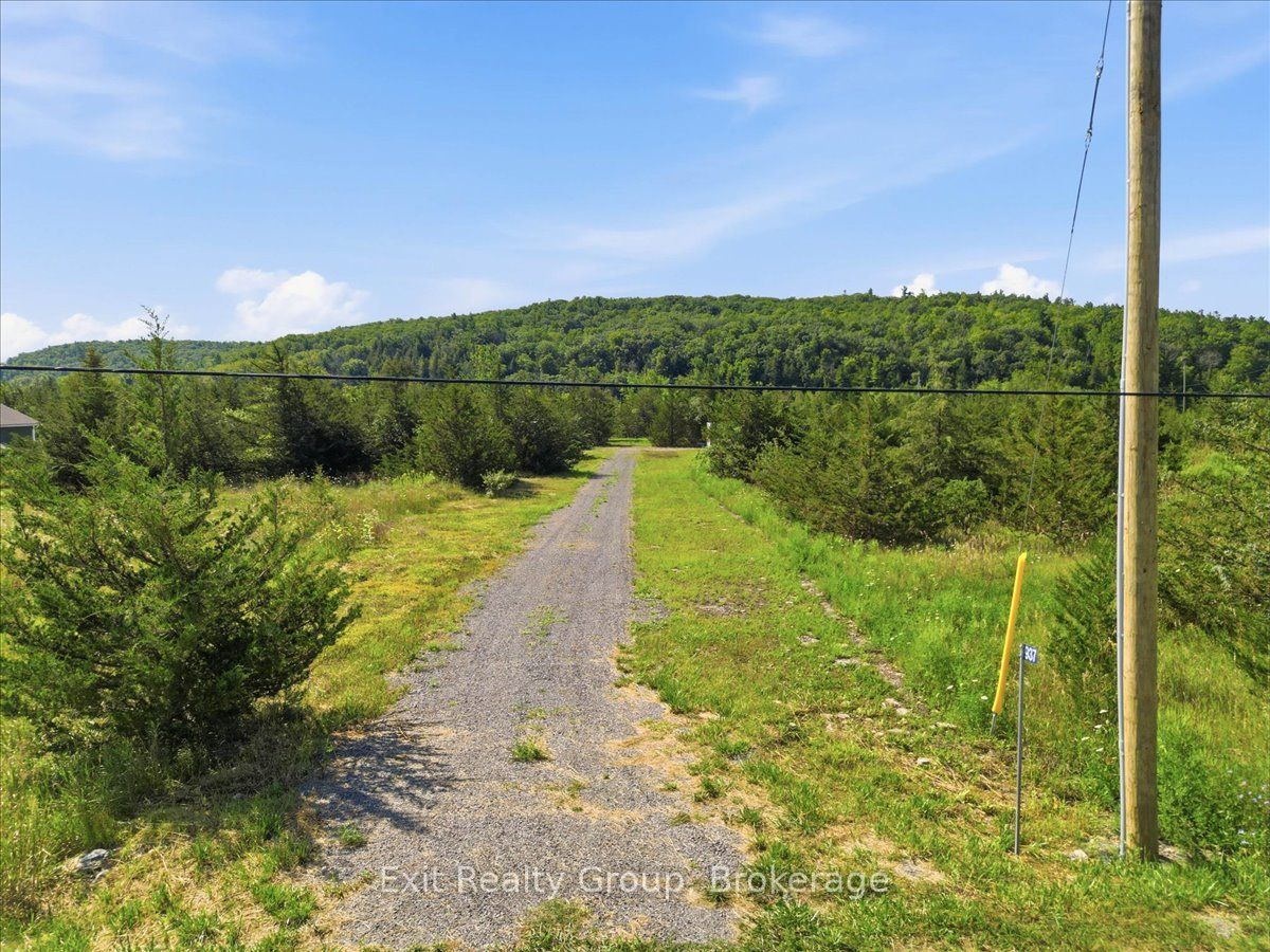 937 Rosebush Road Property Photo 3
