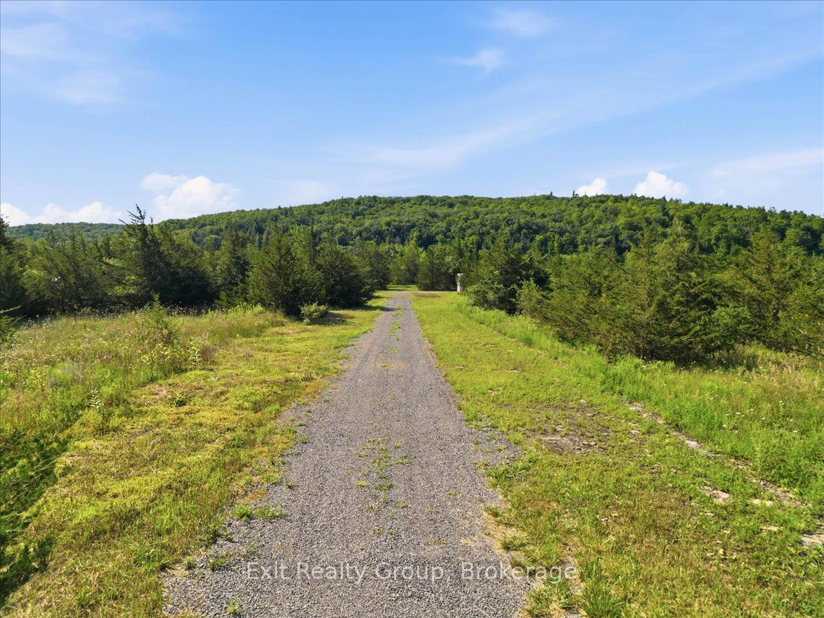 937 Rosebush Road Property Photo 4
