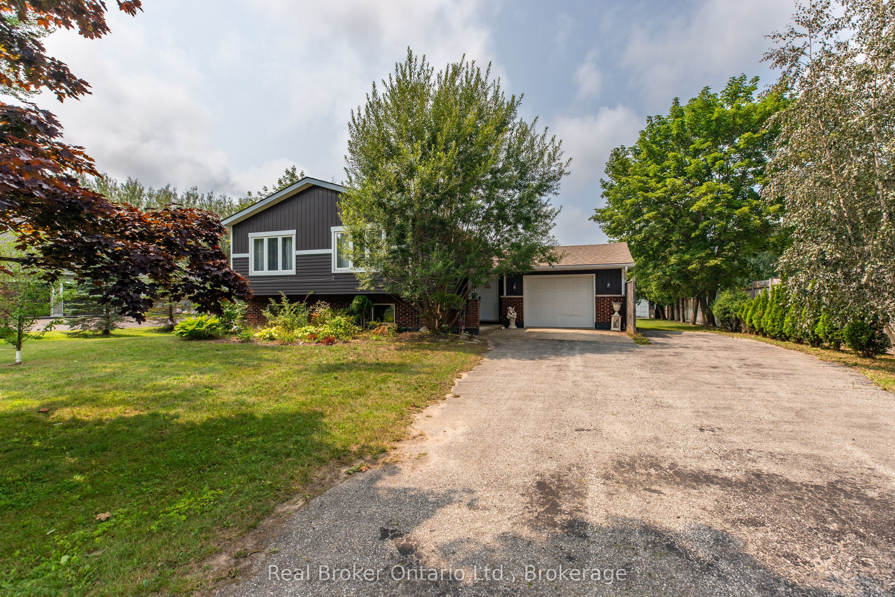 115 Carlisle Street Property Photo 2