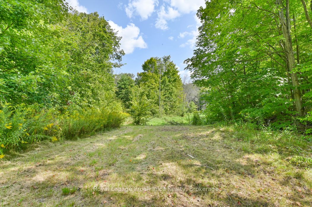 316 High Shore Road Property Photo 5