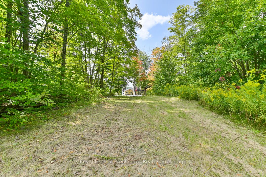 316 High Shore Road Property Photo 6