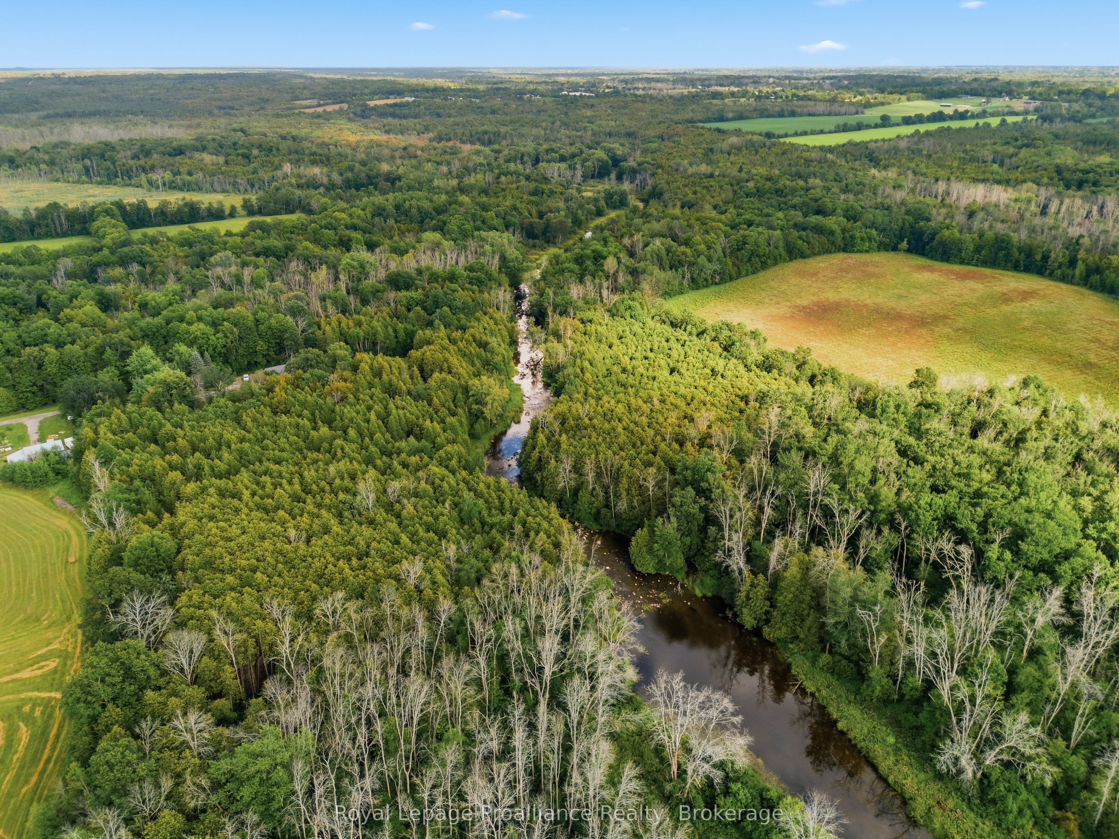 1296 Thrasher Road Property Photo 48