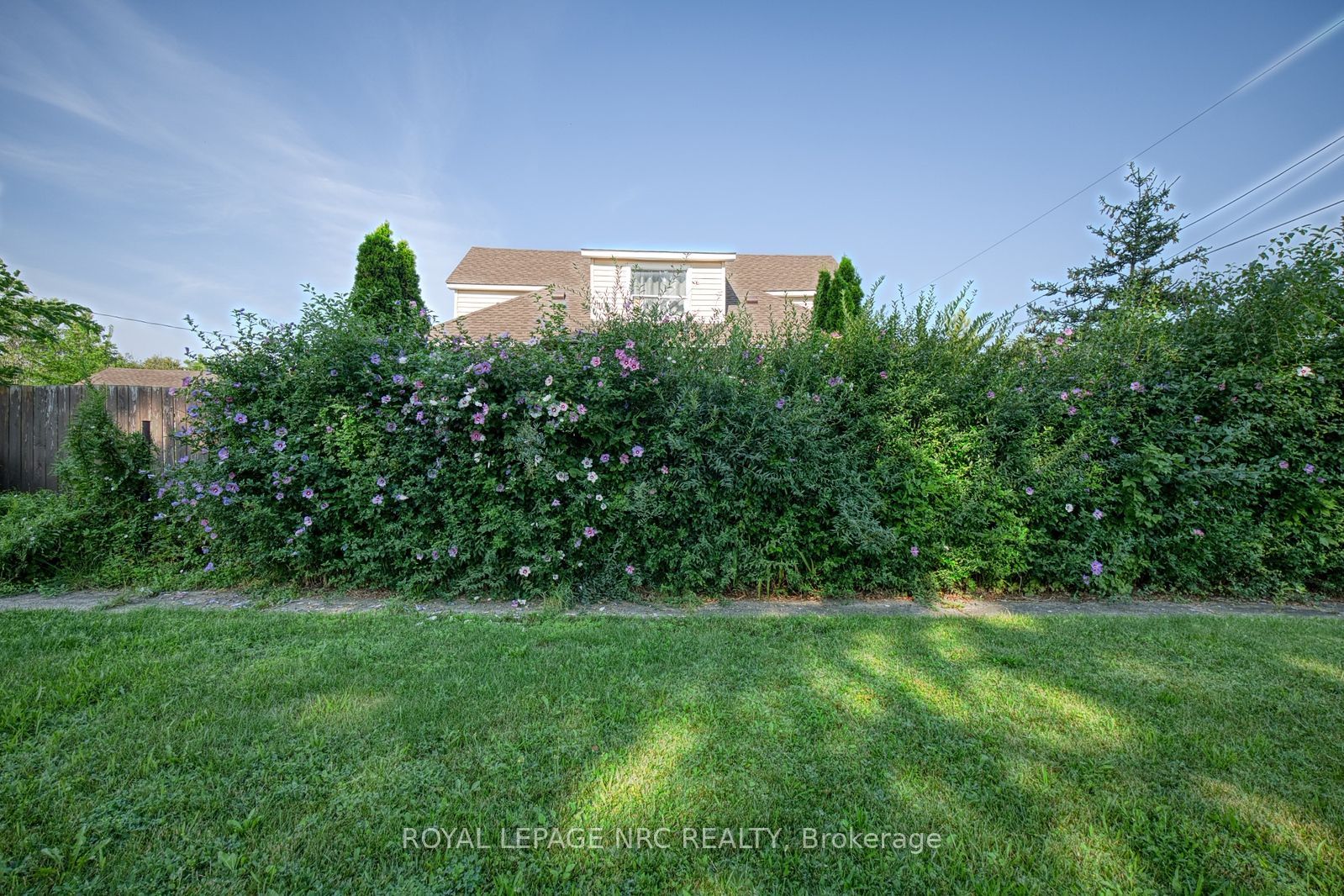 242 Henrietta Street Property Photo 3