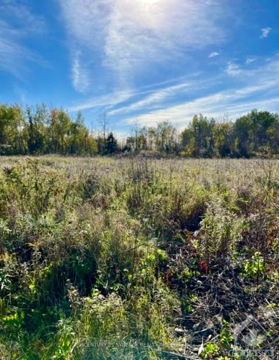 25 Honey Bee Grove Property Photo 1
