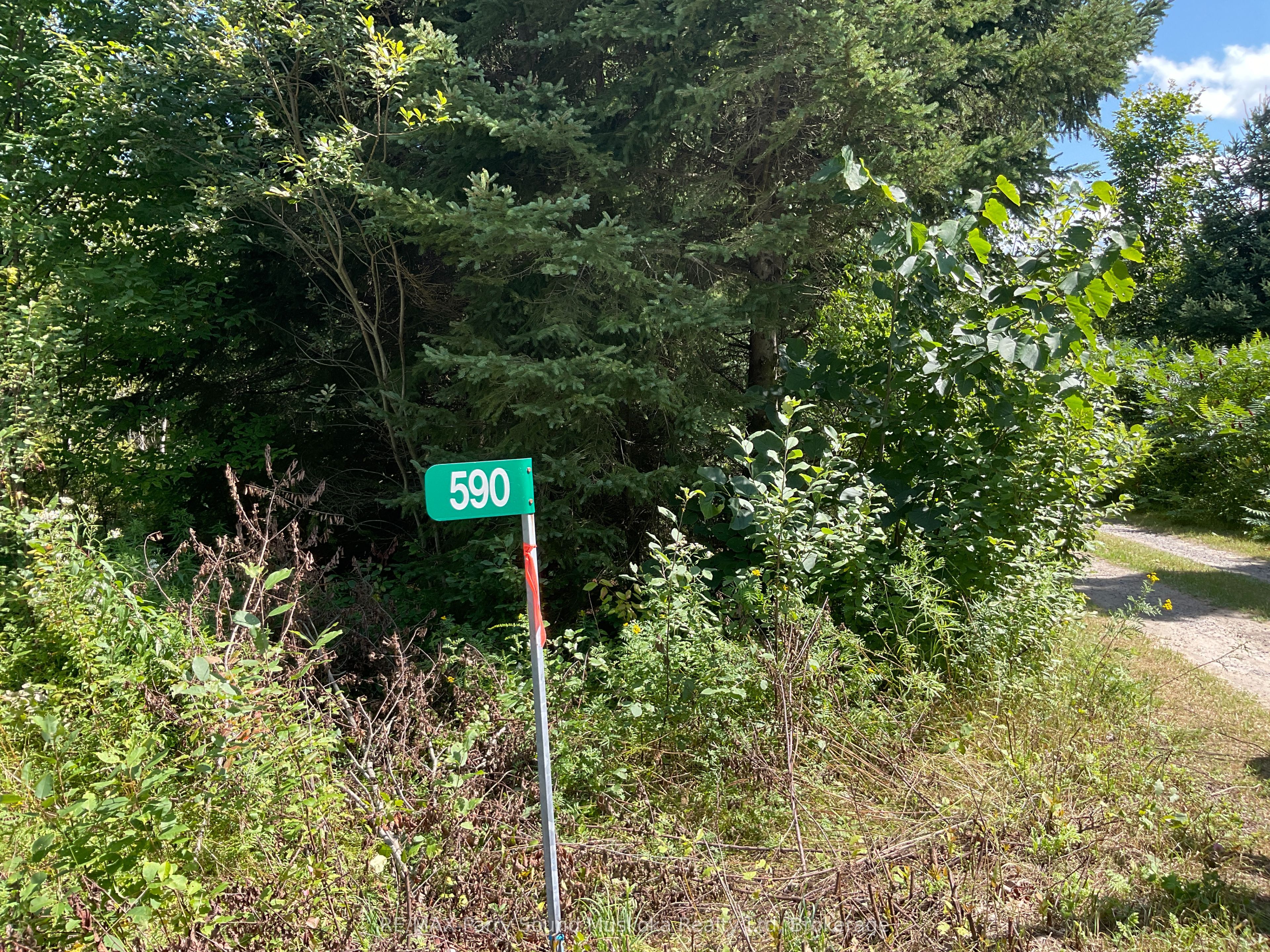 590 Clear Lake Road Property Photo 2