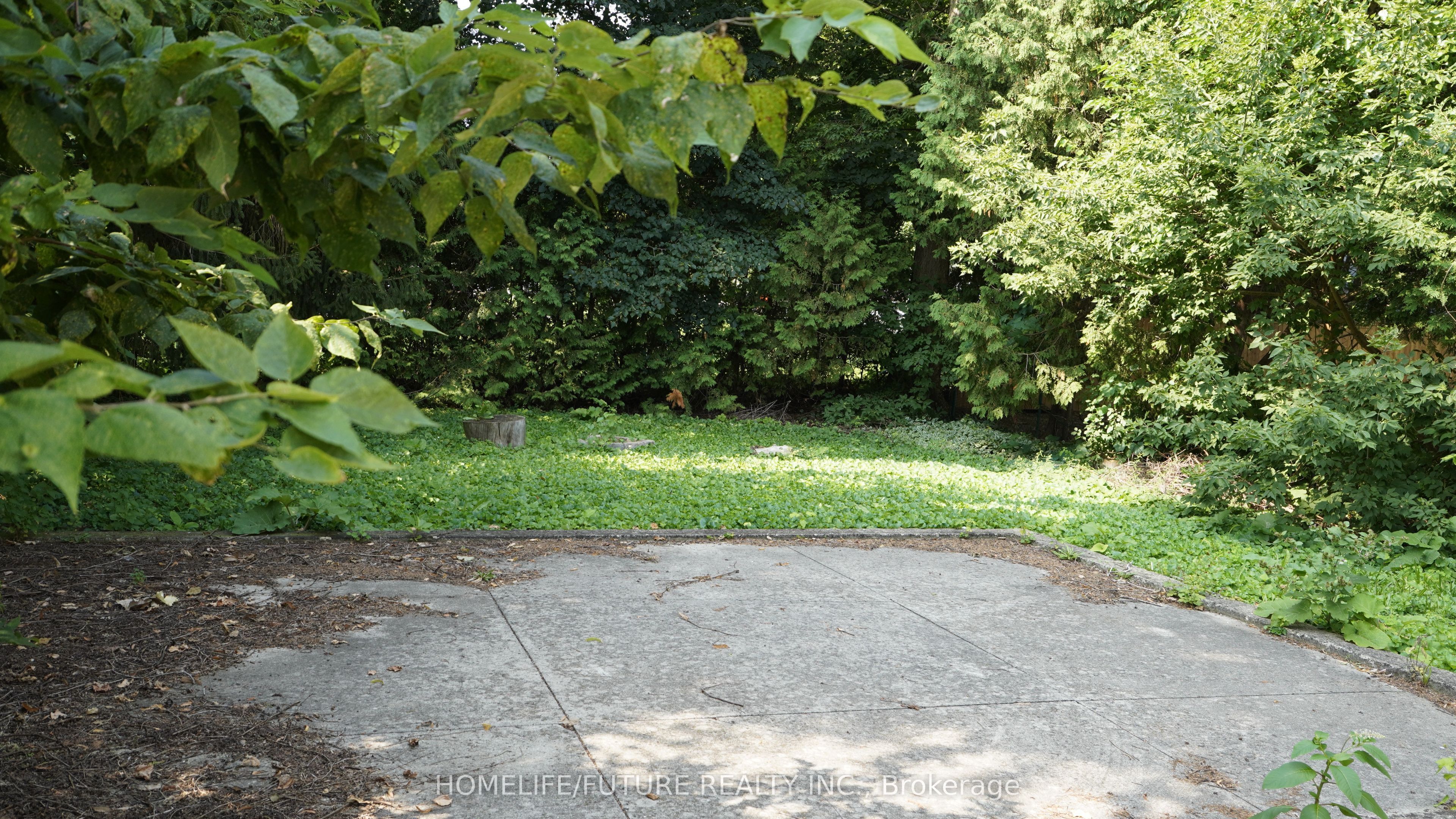 15 Charles Street Property Photo 22