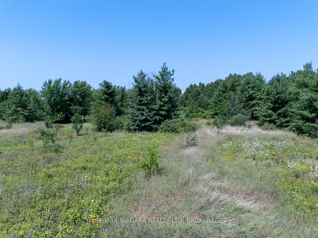 Ns Forks Road W Property Photo 10