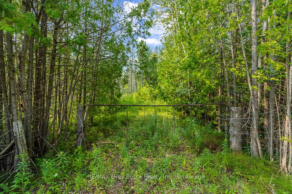 Part 2 Pt Lt 46 Highway 6 Property Photo 3