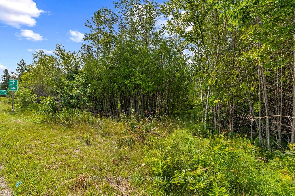Part 2 Pt Lt 46 Highway 6 Property Photo 12