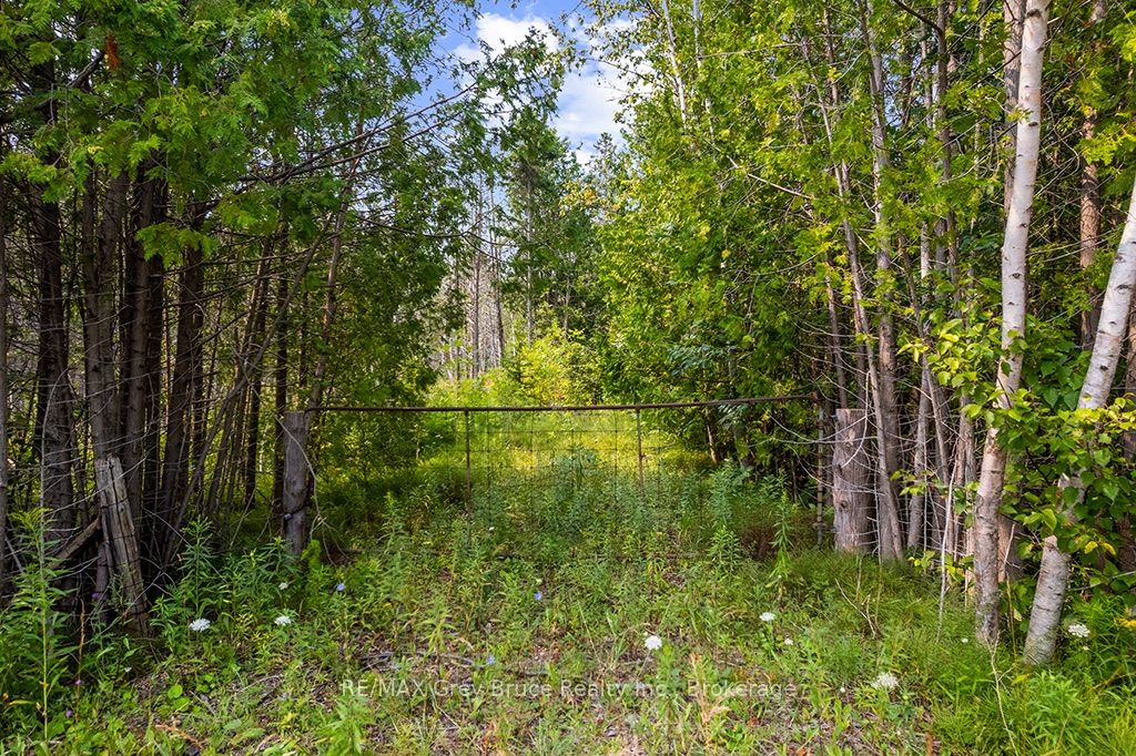 Part 2 Pt Lt 46 Highway 6 Property Photo 13