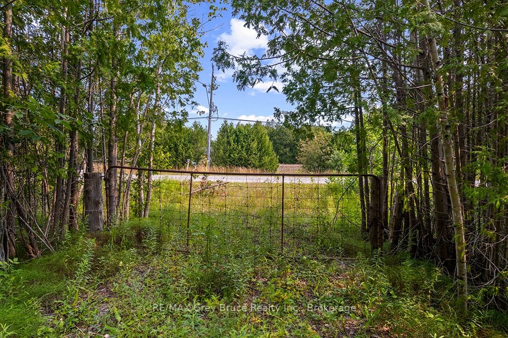 Part 2 Pt Lt 46 Highway 6 Property Photo 15