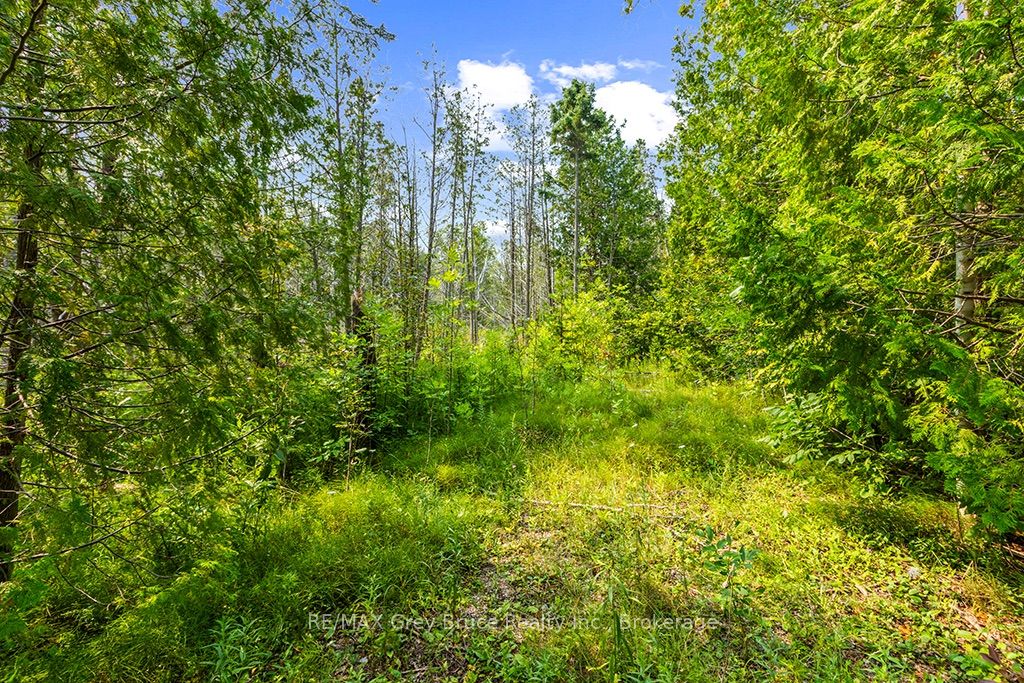 Part 2 Pt Lt 46 Highway 6 Property Photo 17