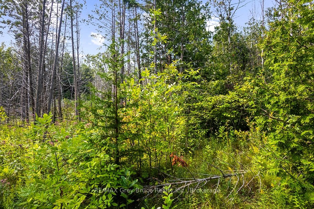 Part 2 Pt Lt 46 Highway 6 Property Photo 18