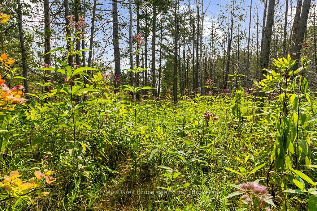 Part 2 Pt Lt 46 Highway 6 Property Photo 19