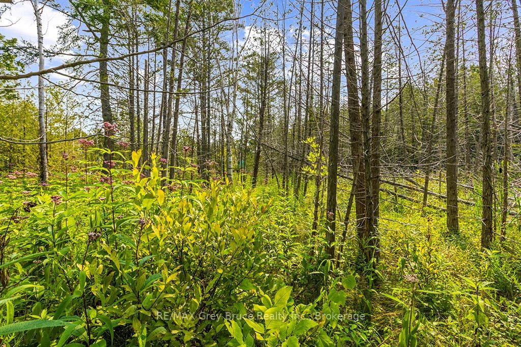Part 2 Pt Lt 46 Highway 6 Property Photo 21