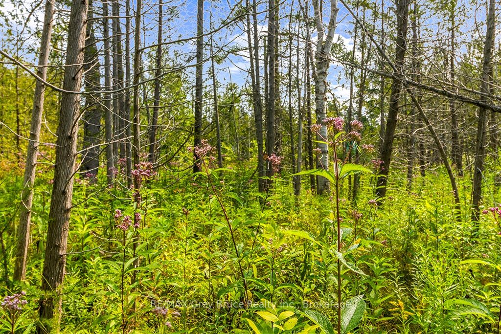 Part 2 Pt Lt 46 Highway 6 Property Photo 22