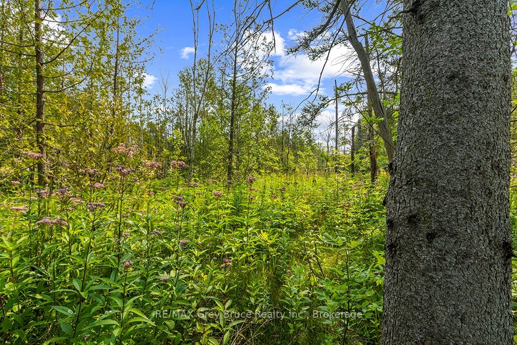 Part 2 Pt Lt 46 Highway 6 Property Photo 24