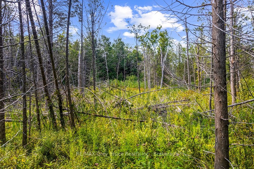 Part 2 Pt Lt 46 Highway 6 Property Photo 25