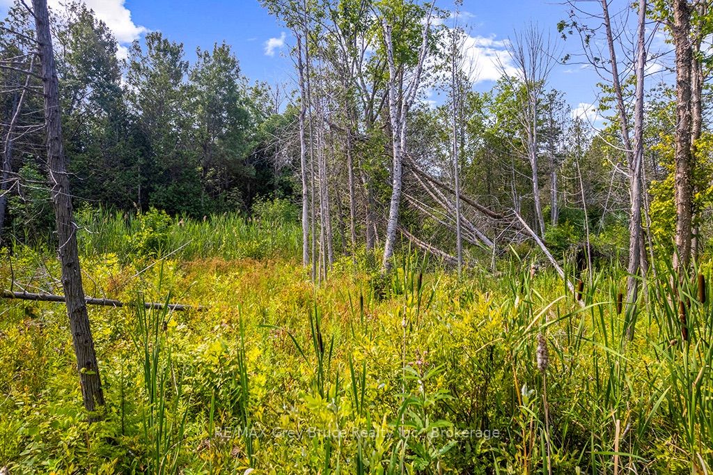 Part 2 Pt Lt 46 Highway 6 Property Photo 26