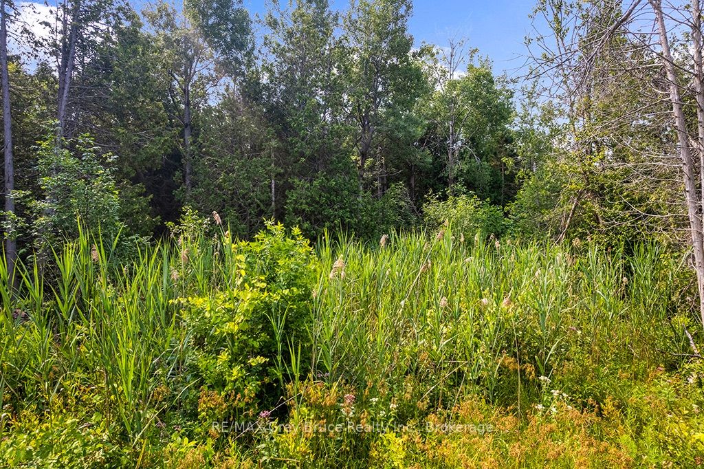 Part 2 Pt Lt 46 Highway 6 Property Photo 27