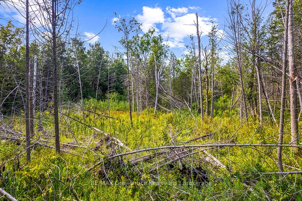 Part 2 Pt Lt 46 Highway 6 Property Photo 30