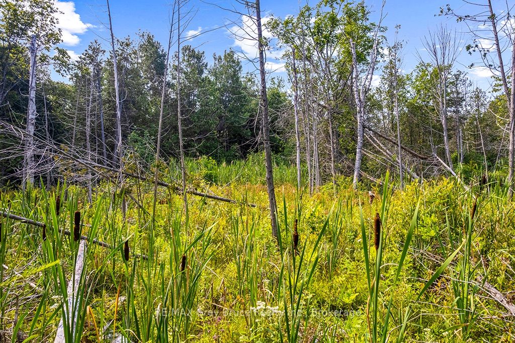 Part 2 Pt Lt 46 Highway 6 Property Photo 31