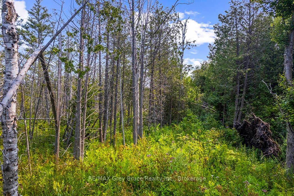 Part 2 Pt Lt 46 Highway 6 Property Photo 32