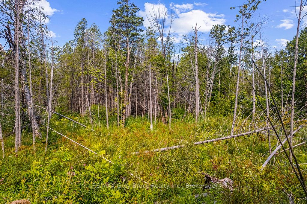 Part 2 Pt Lt 46 Highway 6 Property Photo 33