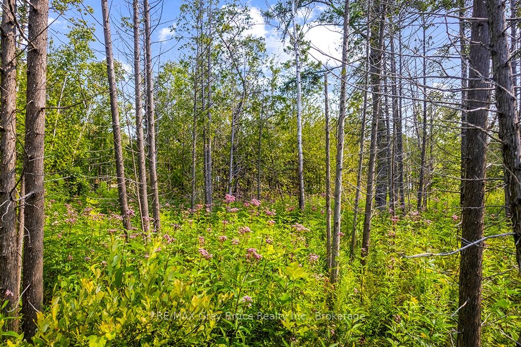 Part 2 Pt Lt 46 Highway 6 Property Photo 34