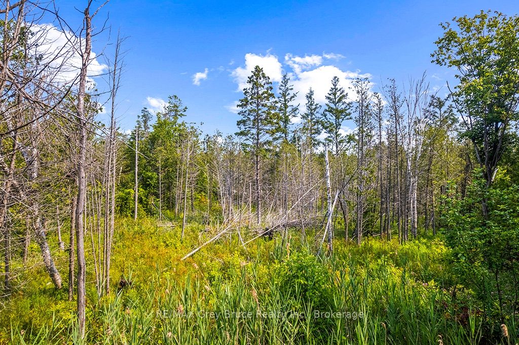 Part 2 Pt Lt 46 Highway 6 Property Photo 35