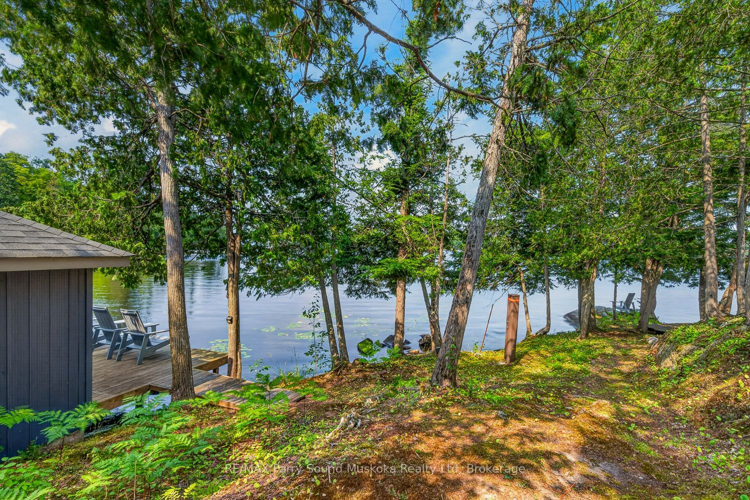 6 Wendy's Lane Property Photo 26